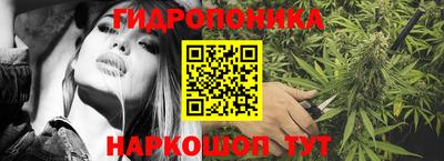 стаф Волгодонск