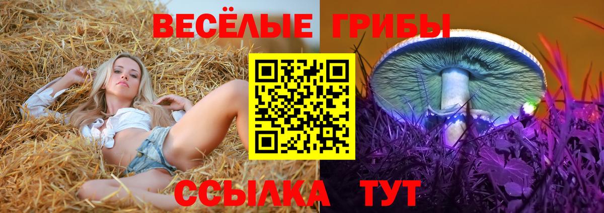 Галлюциногенные грибы ЛСД  Вход с VPN  Новочеркасск 