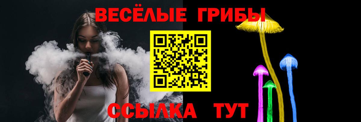 Псилоцибиновые грибы Psilocybe Новочеркасск